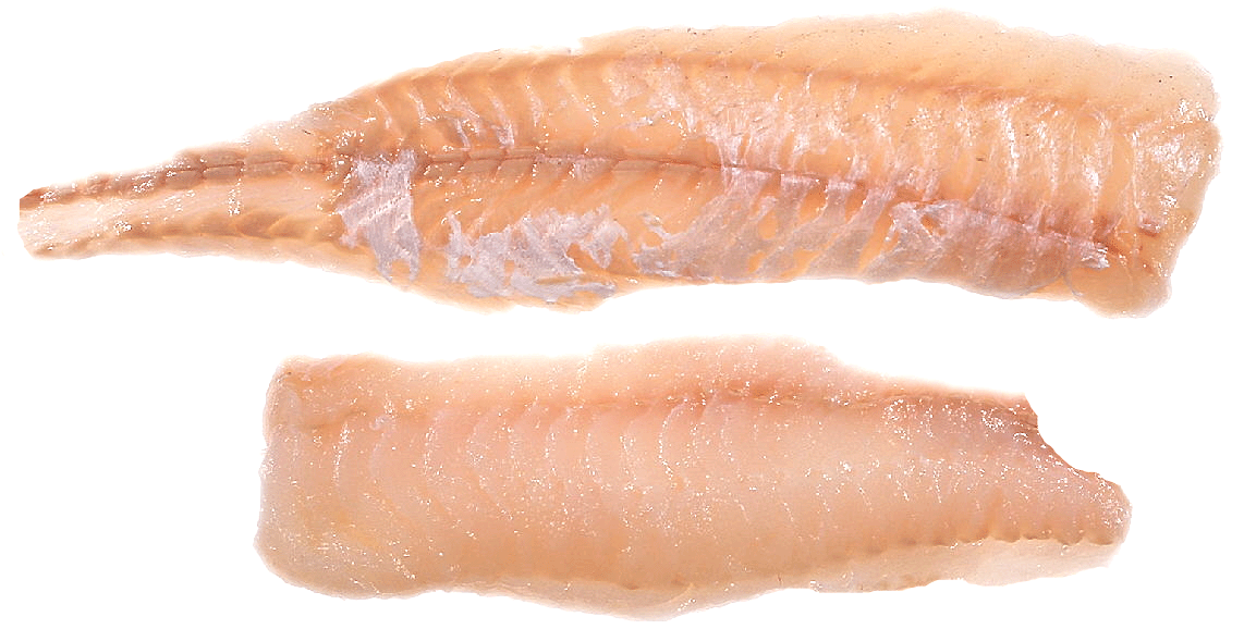 Difference Between Hake And Fish at Carolyn Elliott blog